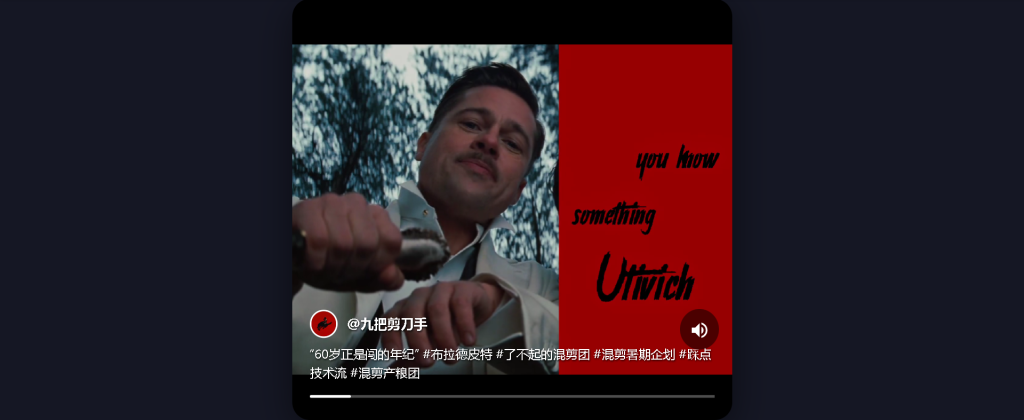 wordpress 抖音播放器 wordpress 抖音播放器